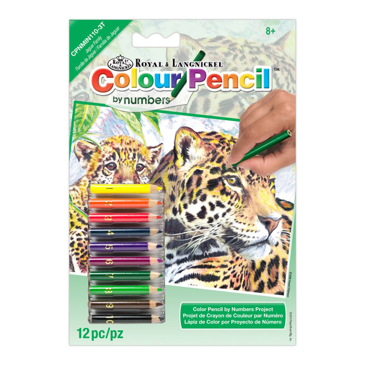 CPNMIN-110 | Colour Pencil by numbers™ 12pc 5" x 7" Jaguars Project